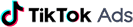 TikTok Ads Agency