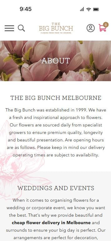 thebig-bunch-04