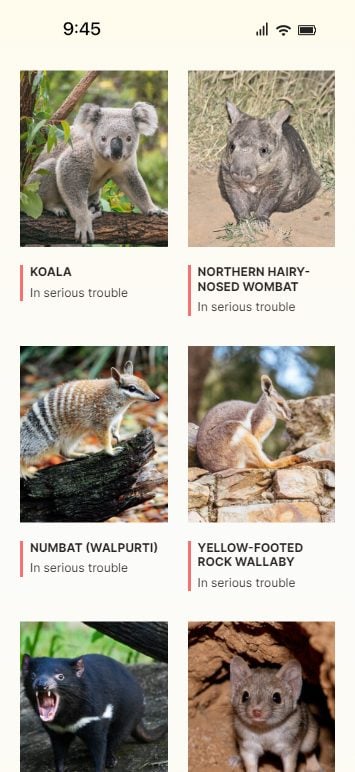 marsupial-of-the-year-02