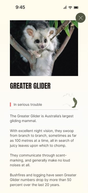 marsupial-of-the-year-03