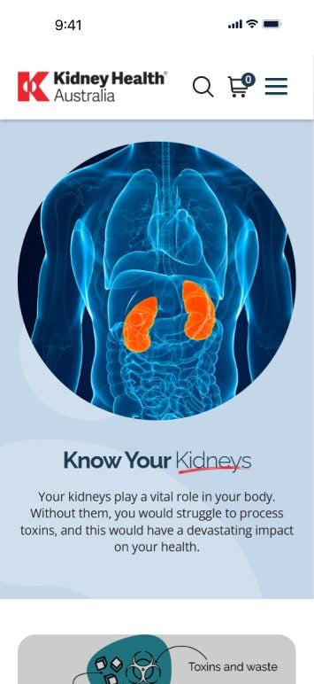 kidney-health-04